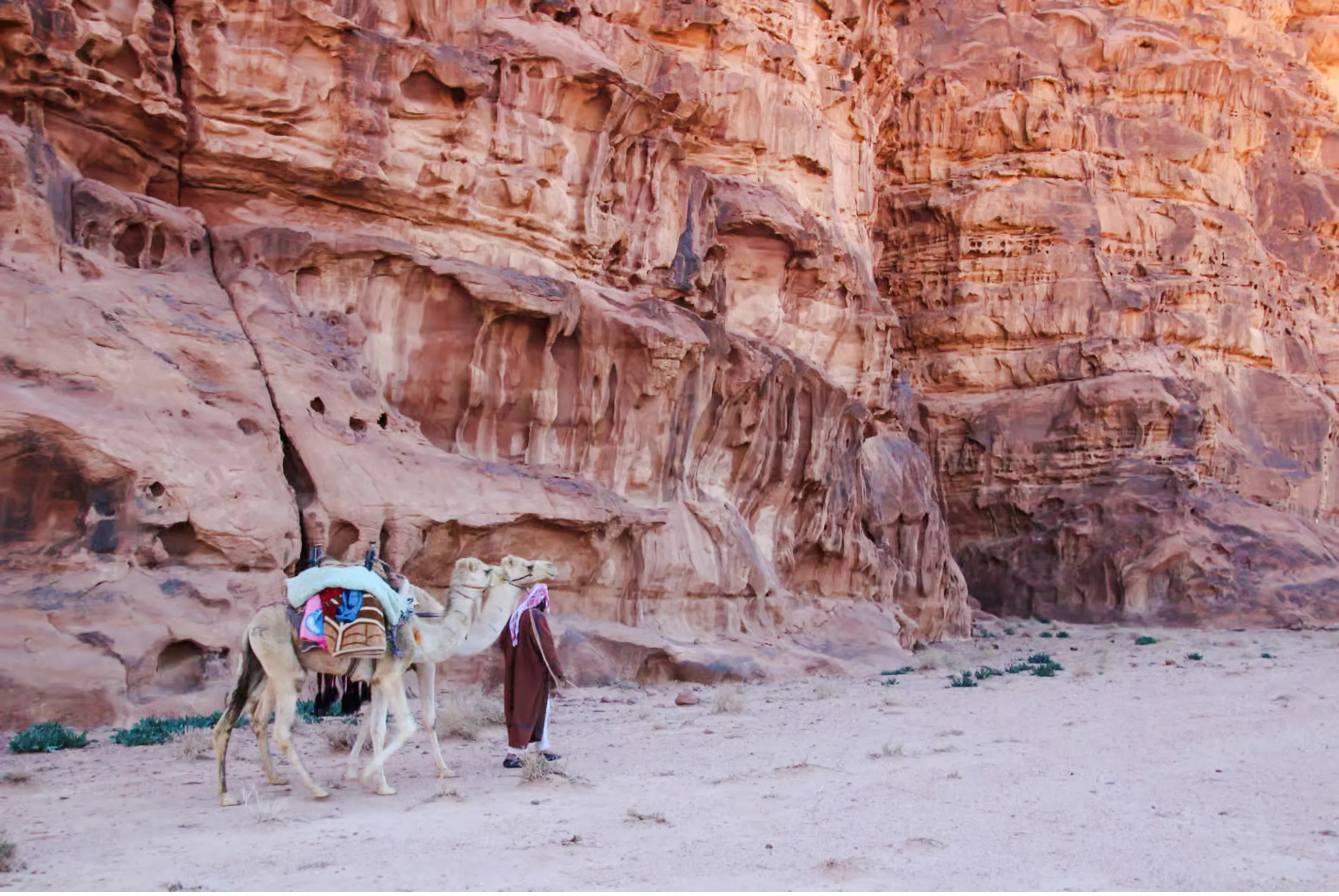 wadi rum: guidet kamelridning med beduinte og transport gjennom ørkenen i firehjulsdrevet bil-3