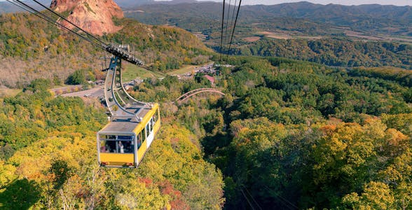 Mt. Moiwa Ropeway Ticket