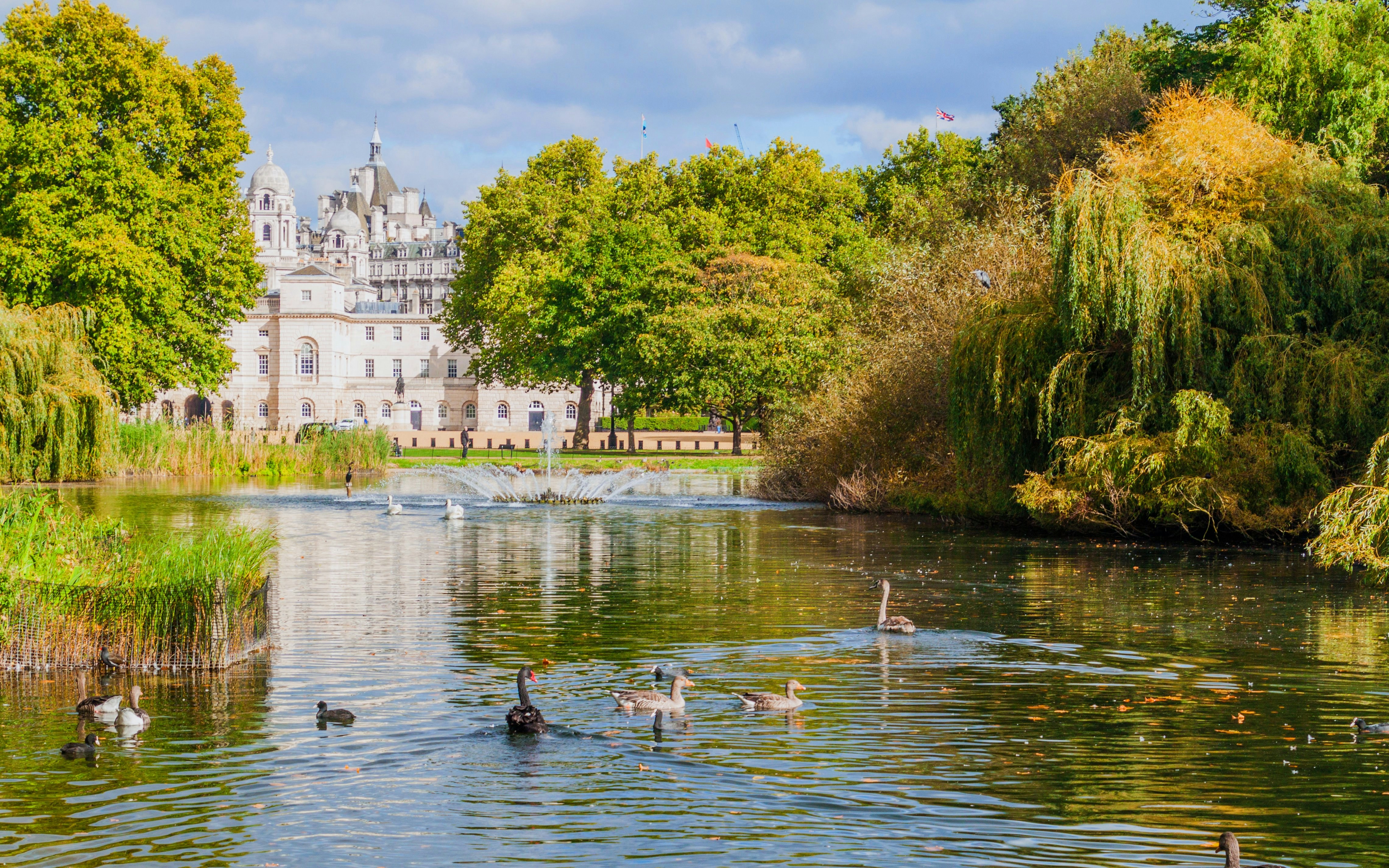 St. James's Park Lake with ducks and Horse Guards Parade building in London.