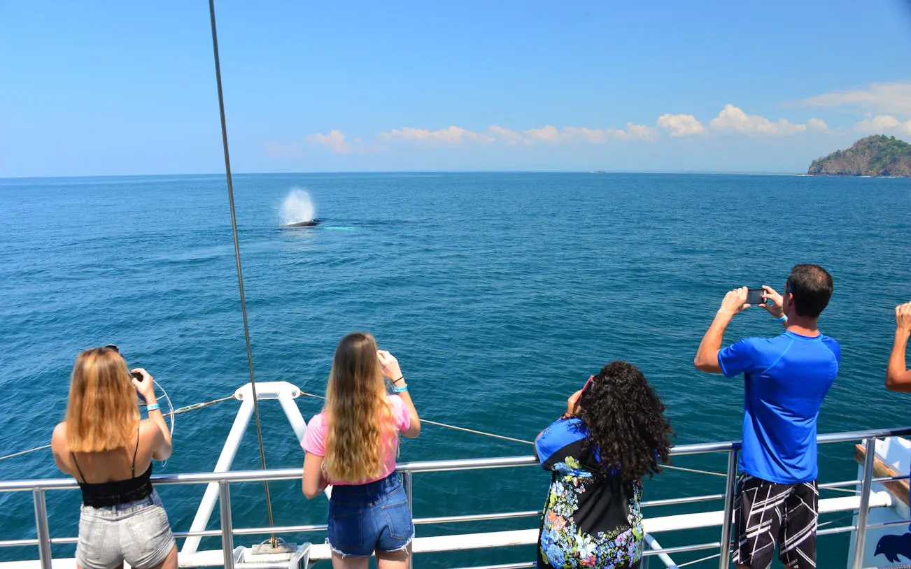 Tourists on a catamaran watching a whale at Biesanz Bay, Manuel Antonio.