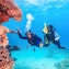 Snorkeling Stop