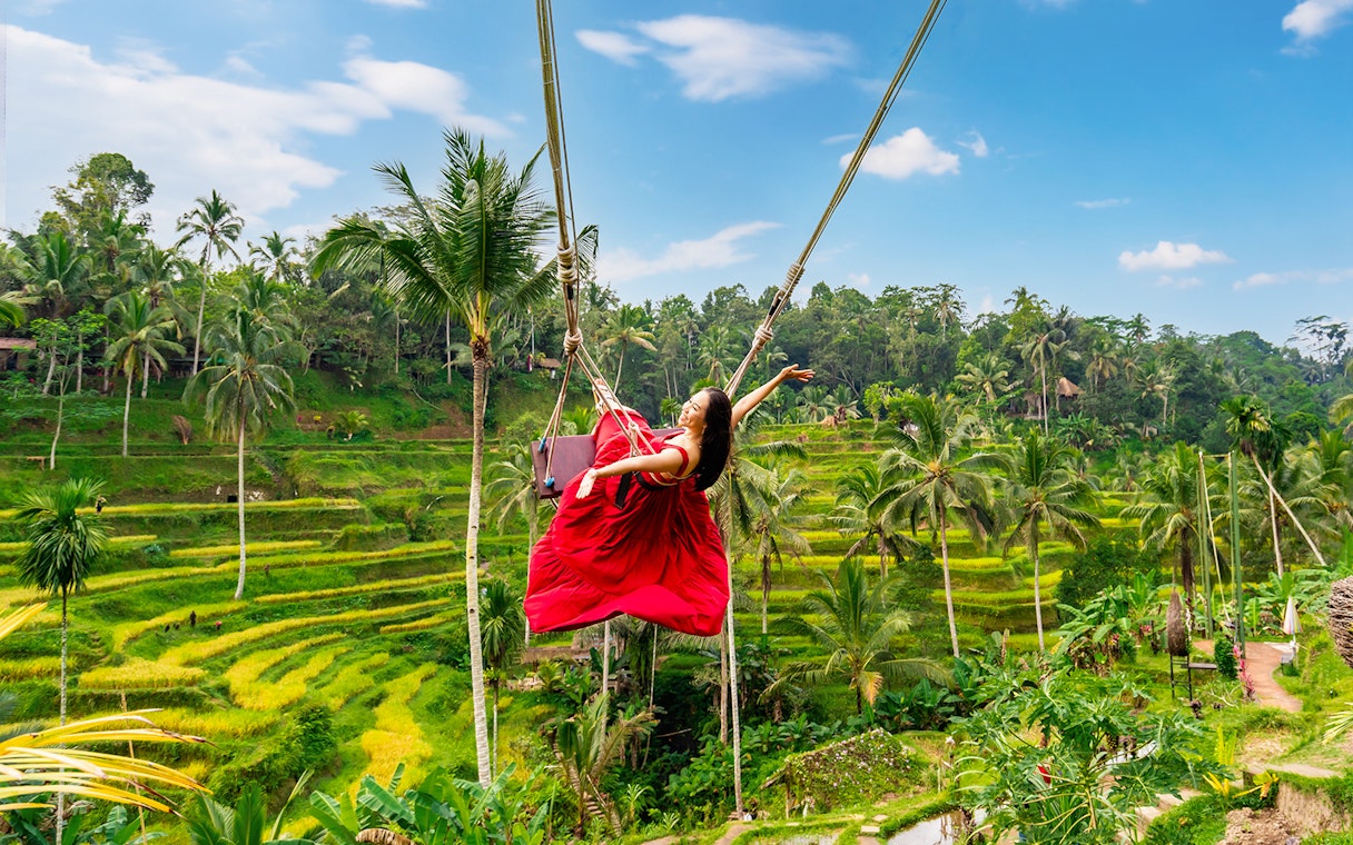 Lady on swing over rice terraces at Alas Harum Bali.
