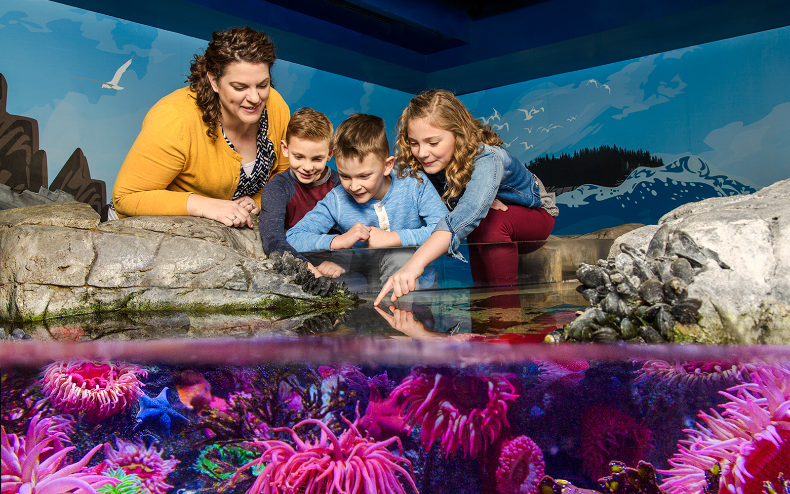 Visitors exploring the rock pool at Sea Life Aquarium, Orlando.