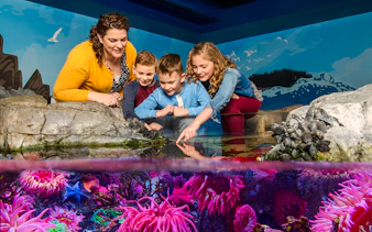 Visitors exploring the rock pool at Sea Life Aquarium, Orlando.