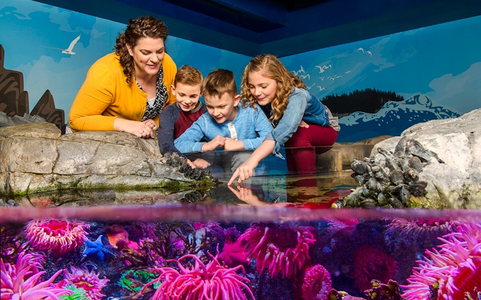 Visitors exploring the rock pool at Sea Life Aquarium, Orlando.