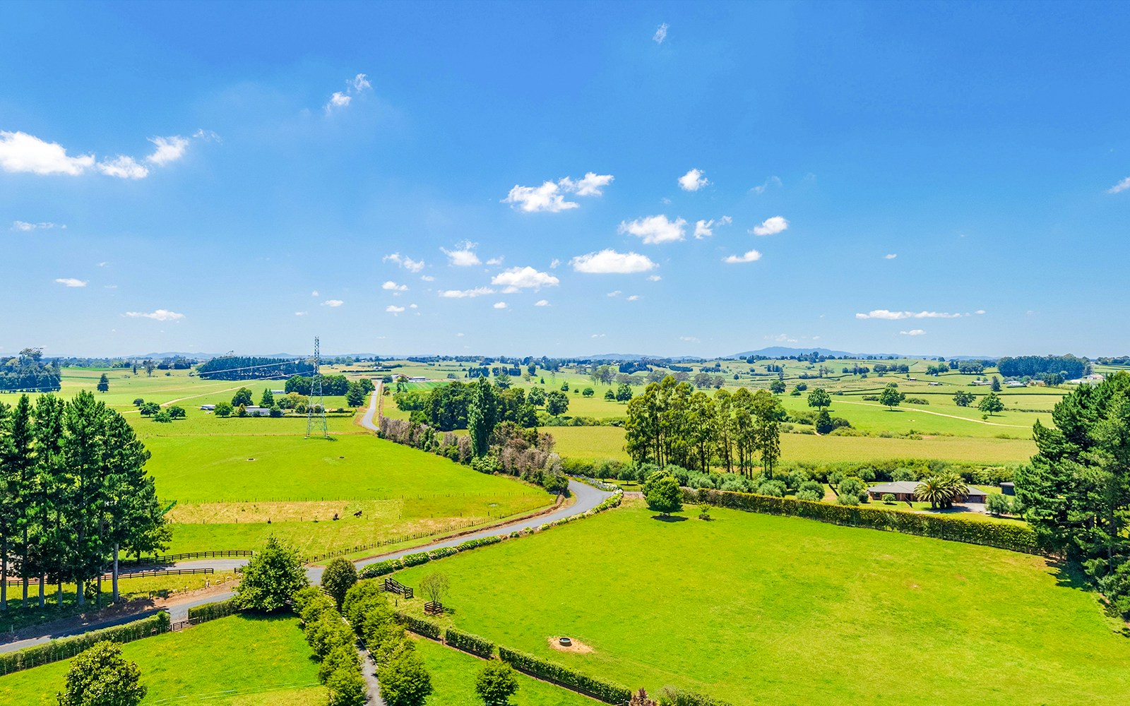 Aerial view of lush green farmland in Waikato, New Zealand, with trees and fields.