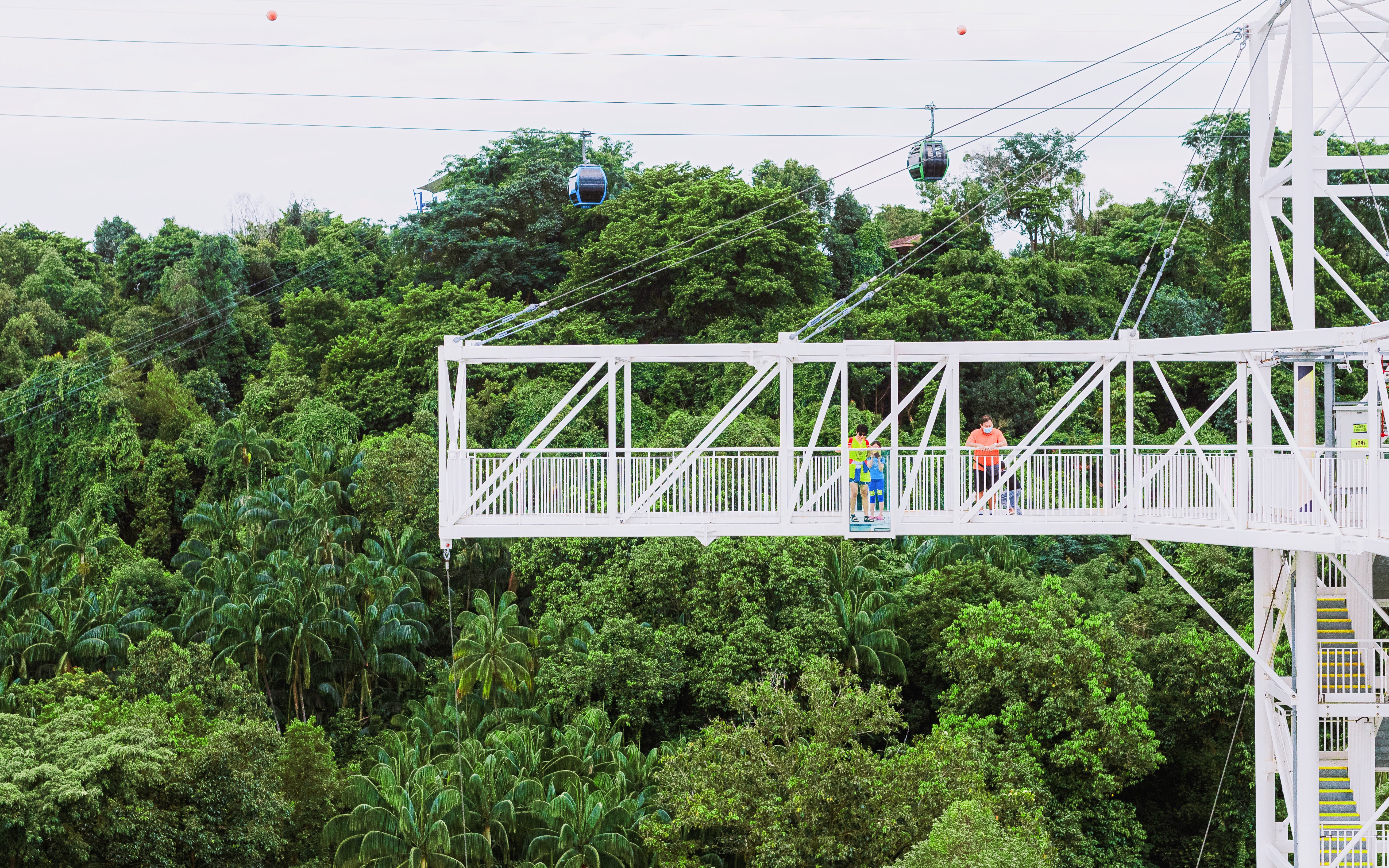 Skybridge at AJ Hackett Sentosa, Singapore, with people walking above lush greenery.