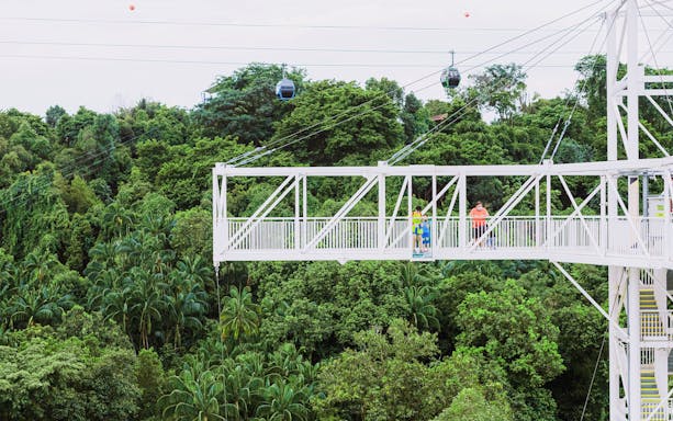 Skybridge at AJ Hackett Sentosa, Singapore, with people walking above lush greenery.