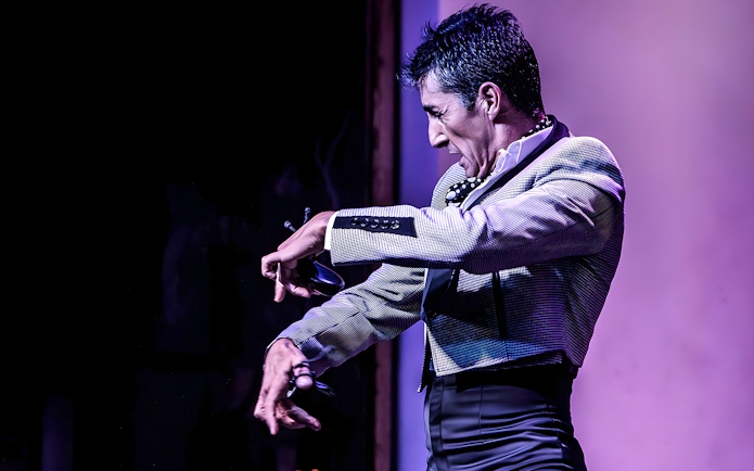 Flamenco dancer performing at Tablao El Arenal in Seville.