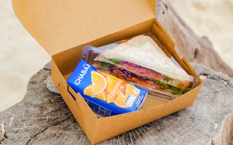 Lunchbox with sandwich and orange juice on a weathered log.