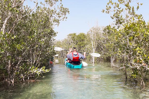 tickets to mangrove kayaking in abu dhabi-7