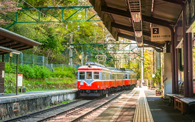 Hakone Tozan train arriving at a station surrounded by greenery in Hakone, Japan.