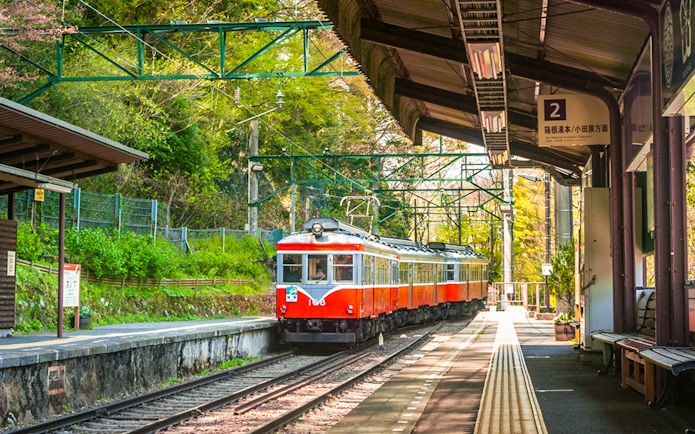 Hakone Tozan train arriving at a station surrounded by greenery in Hakone, Japan.