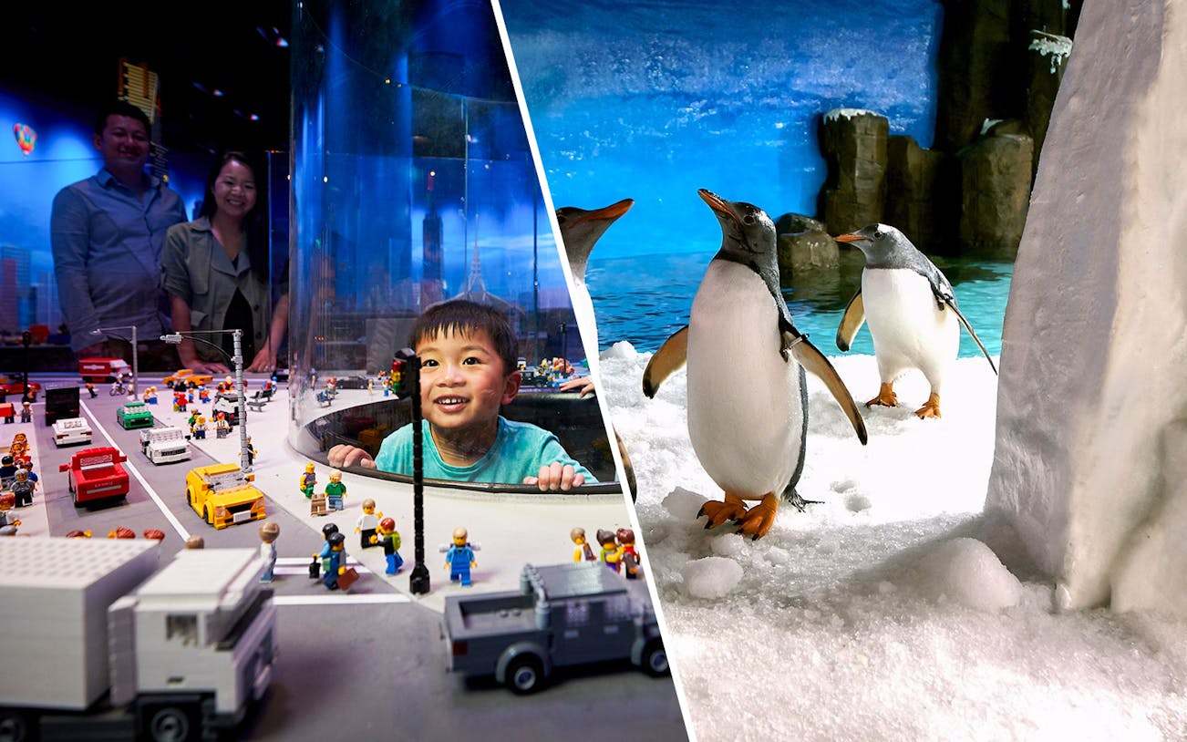 Child exploring LEGO city display and penguins at SEA LIFE Melbourne.