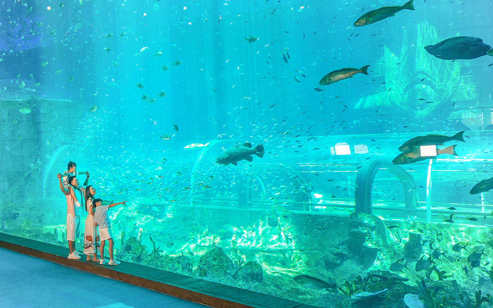 Family observing marine life at Aquarium in VinWonders, with large fish swimming in a vast tank.