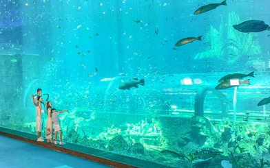 Family observing marine life at Aquarium in VinWonders, with large fish swimming in a vast tank.