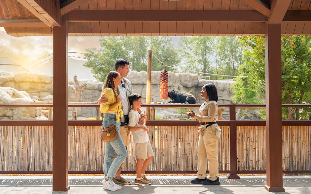 Family learning about bears at Dubai Safari Park.