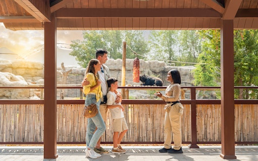 Family learning about bears at Dubai Safari Park.