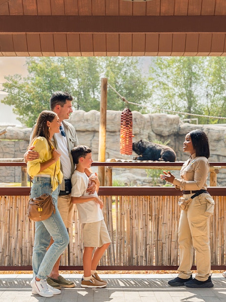 Family learning about bears at Dubai Safari Park.