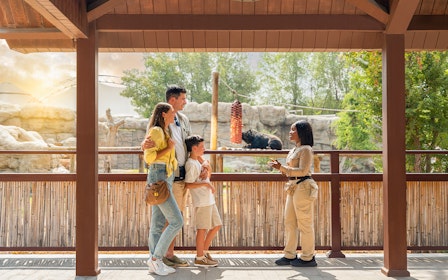 Dubai Safari Park Tickets 