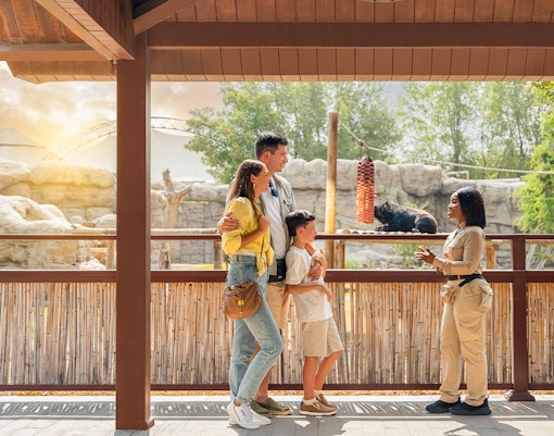 Family learning about bears at Dubai Safari Park.