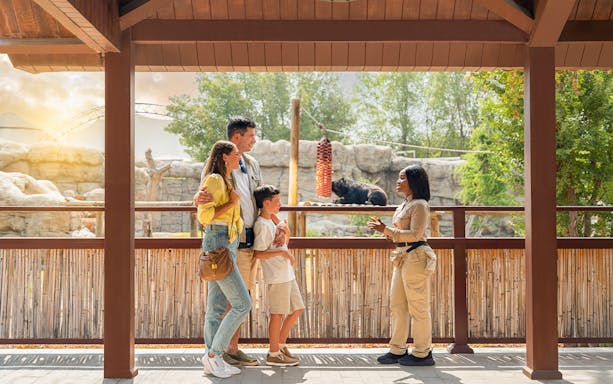 Family learning about bears at Dubai Safari Park.