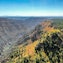 Floresta de Kaibab