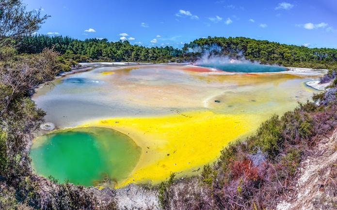 Geothermal pools with vibrant colors at Te Puia, Rotorua, surrounded by lush greenery.