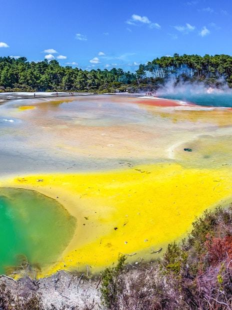 Geothermal pools with vibrant colors at Te Puia, Rotorua, surrounded by lush greenery.