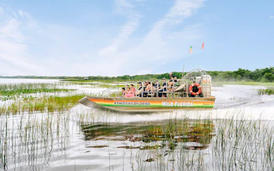 Guests on airboat touring Everglades, Florida, surrounded by wetlands.
