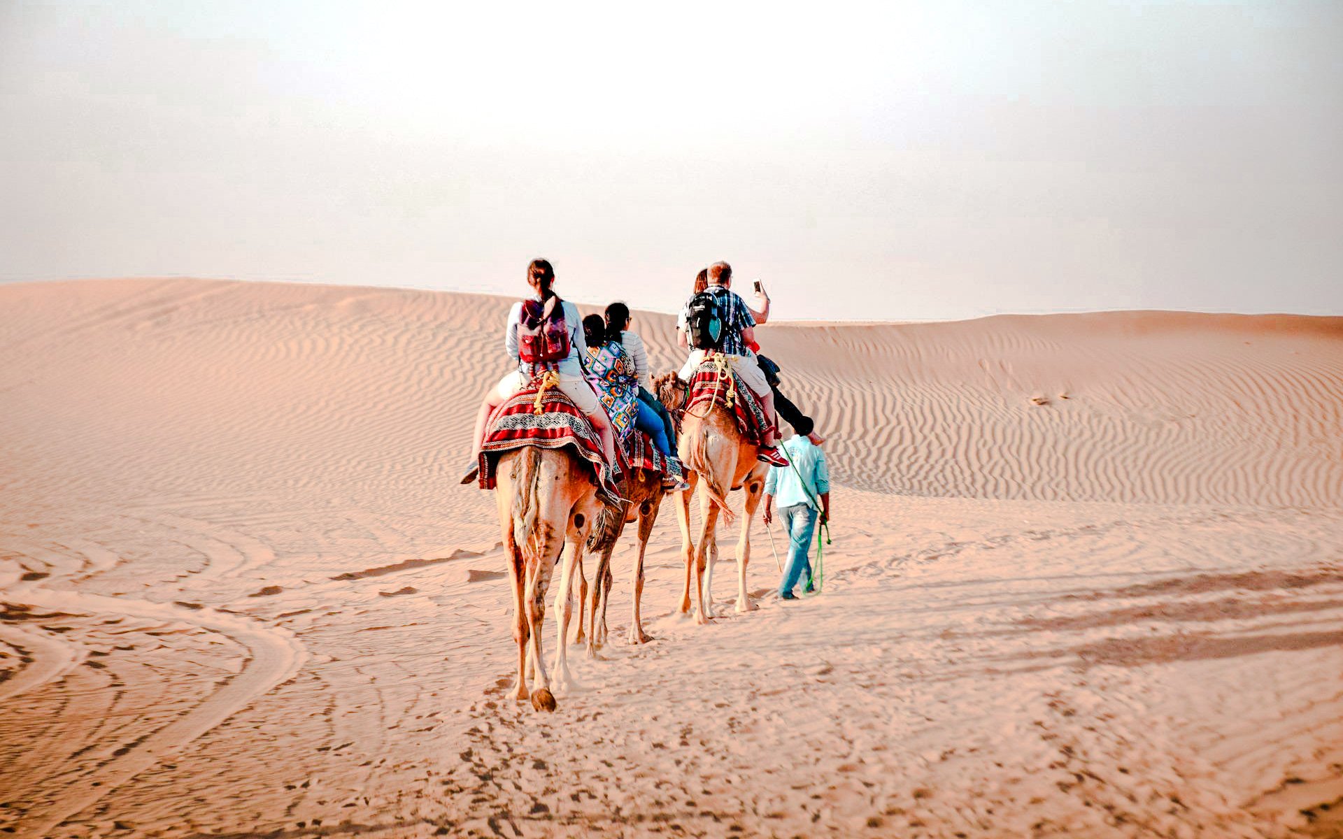 Camel trekking tour in Abu Dhabi desert with riders on camels.