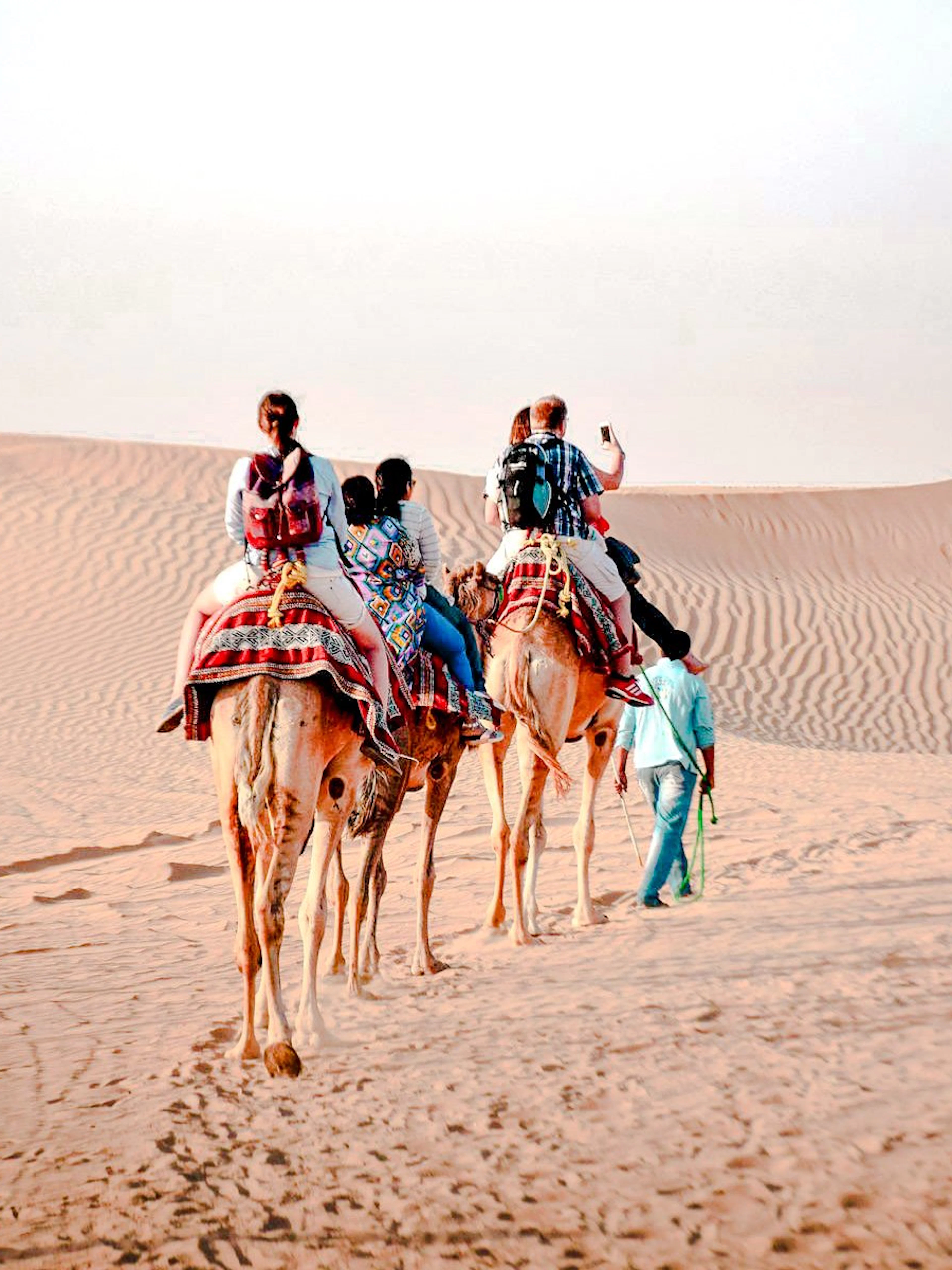 Camel trekking tour in Abu Dhabi desert with riders on camels.