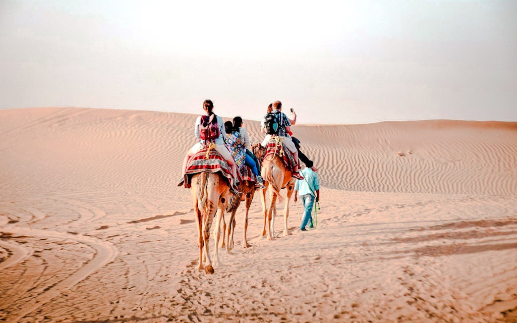 Camel trekking tour in Abu Dhabi desert with riders on camels.