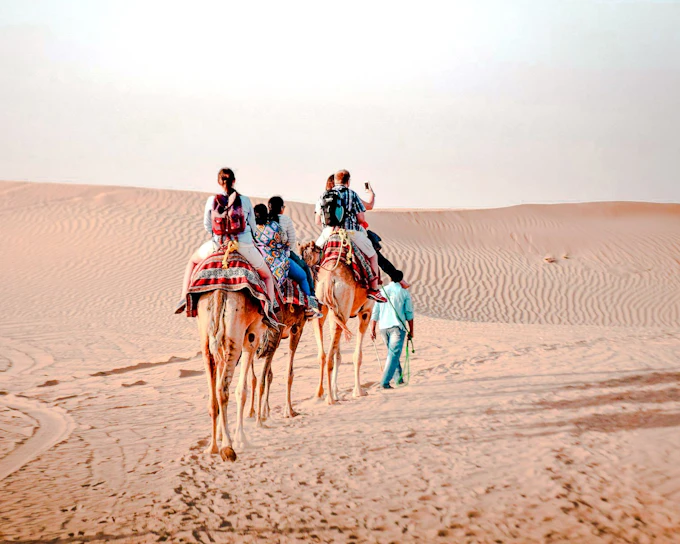 Abu Dhabi Morning Desert Safari with Camel Ride, Dune Bashing & Sandboarding