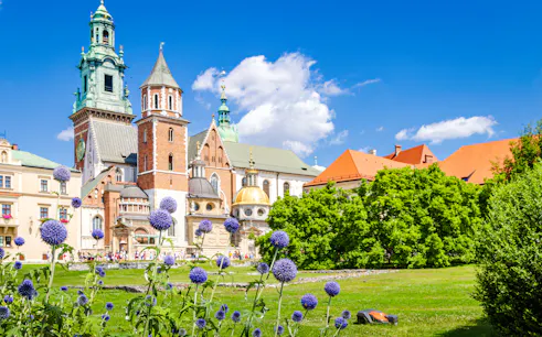 krakau: rondleiding in kleine groep door de wawel-kathedraal, inclusief toegang-1