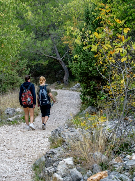 Hikers walking on a trail surrounded by greenery in Krka National Park.