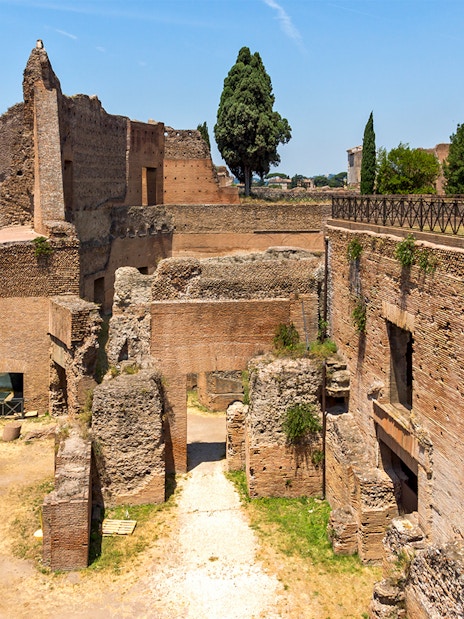 Roman Forum ruins and Palatine Hill landscape in Rome, Italy.