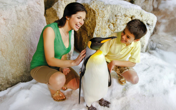 Visitors interacting with a penguin at SeaWorld Orlando.