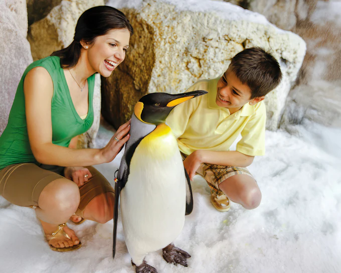 Florida Multi-Day Multi-Park Tickets: SeaWorld, Busch Gardens, Aquatica & Adventure Island