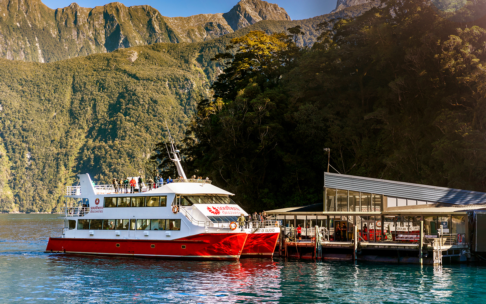 From Queenstown: Milford Sound Cruise with Underwater Observatory & Picnic Lunch