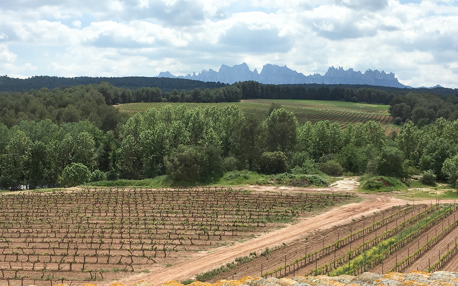 Winery Near Montserrat on a cloudy winter day