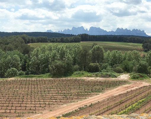 Winery Near Montserrat on a cloudy winter day
