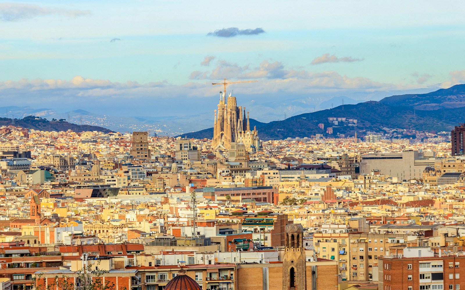 Barcelona cityscape with Sagrada Familia viewed from Montjuic, Catalonia, Spain.