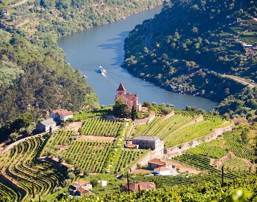 Vineyards and river view in Cima Corgo, Douro Valley, Portugal.