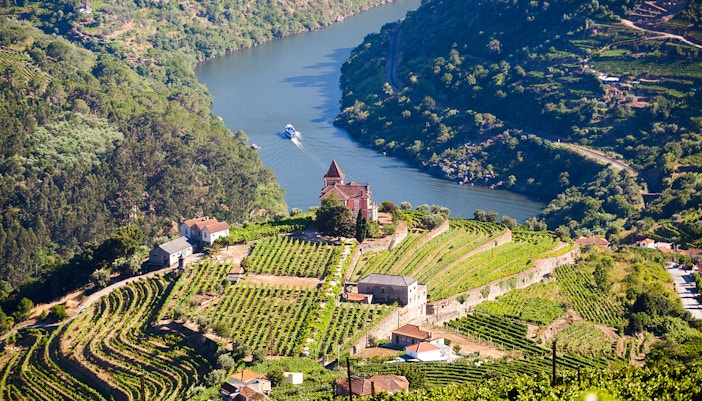 Vineyards and river view in Cima Corgo, Douro Valley, Portugal.