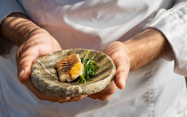 Grilled fish with greens on a stone plate, part of Olive Oil Experience in Santorini.