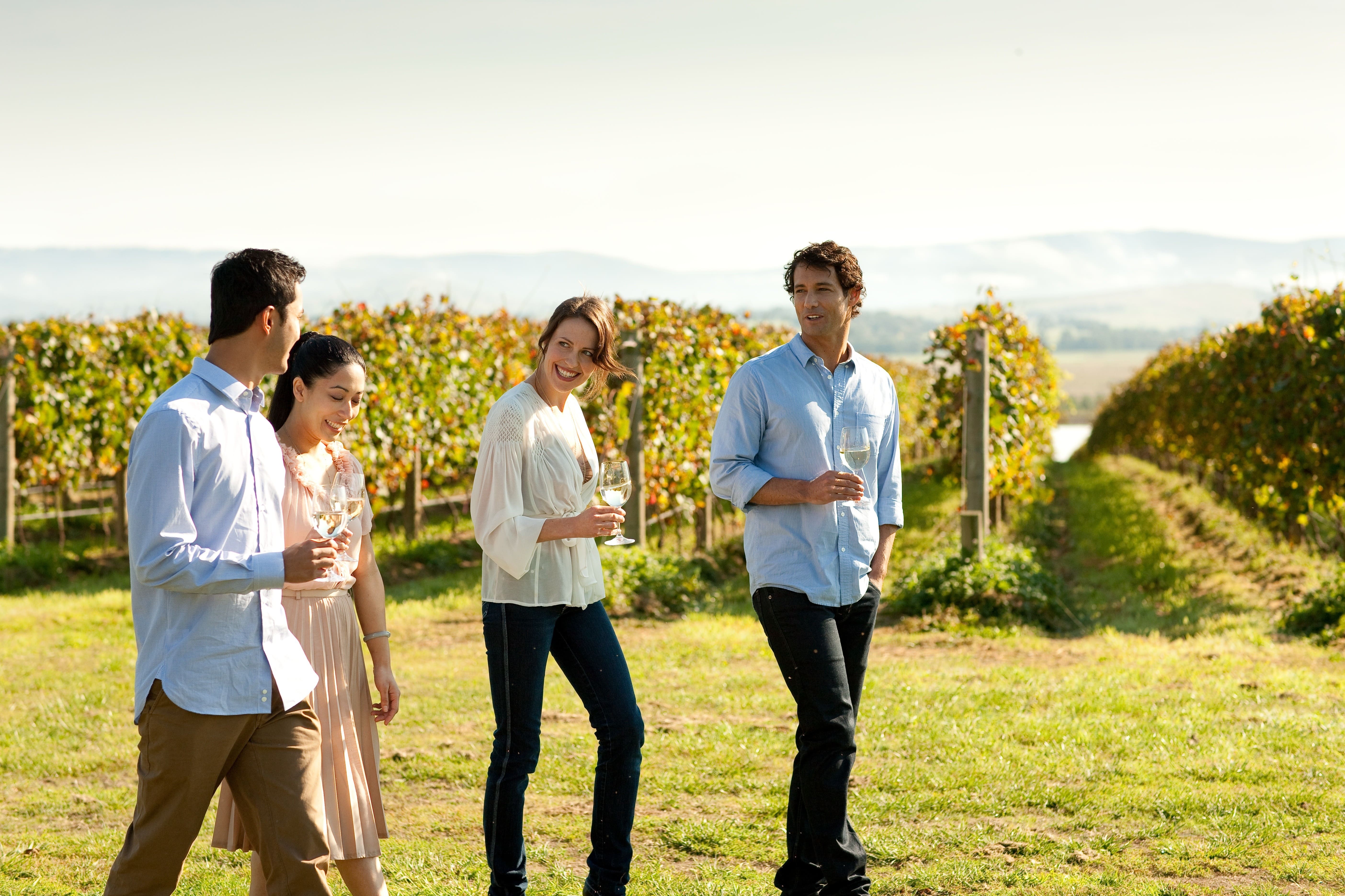 Group enjoying wine in Yarra Valley vineyard.