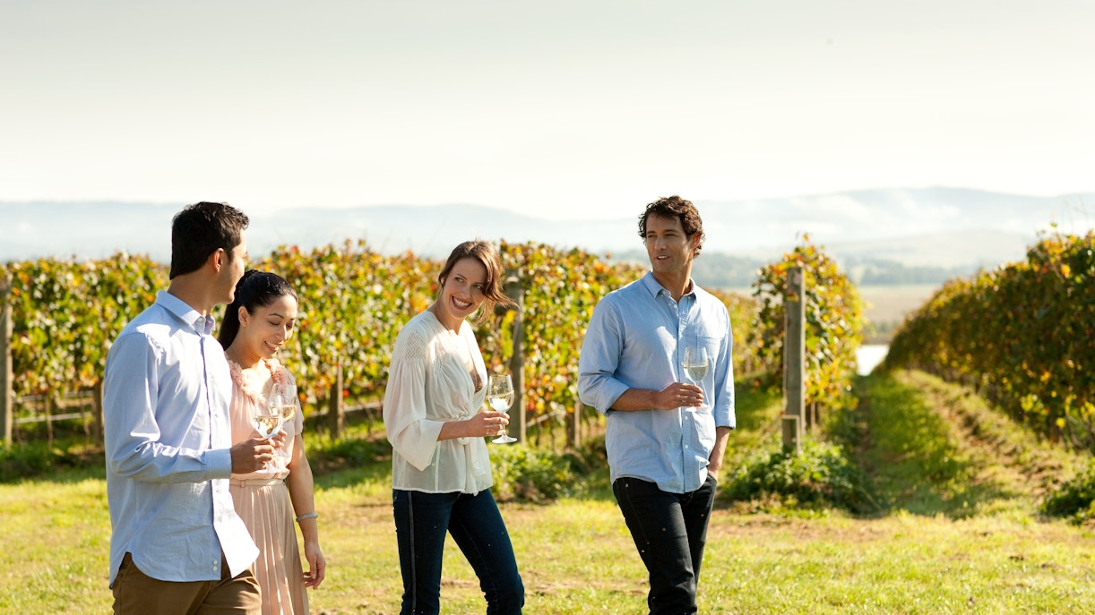 Group enjoying wine in Yarra Valley vineyard.