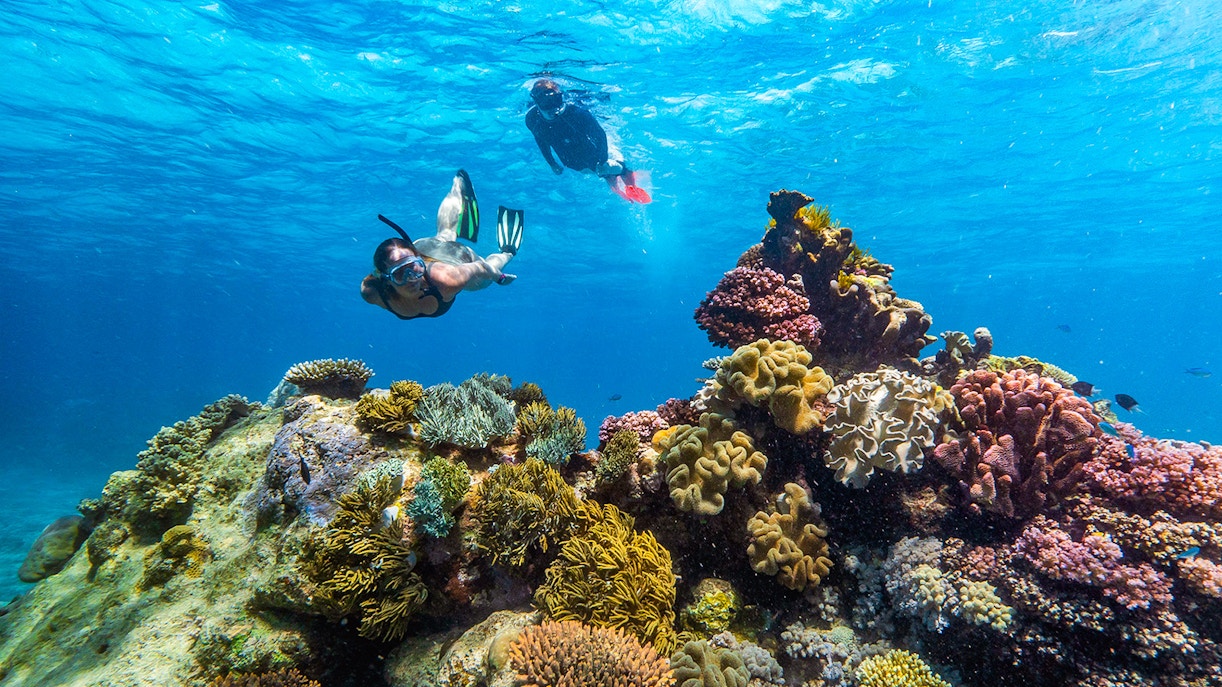 Great Barrier Reef Tours