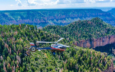 Helicopter flying over Grand Canyon South Rim with forested cliffs below.